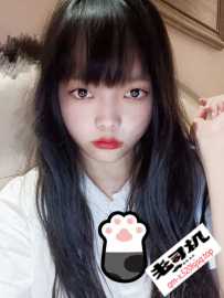 宝安兔兔